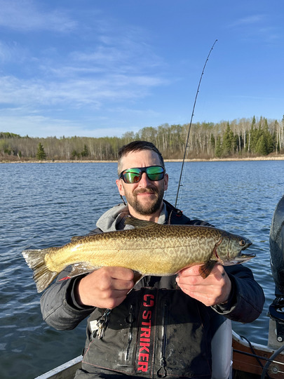 Tiger Trout