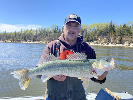 Walleye