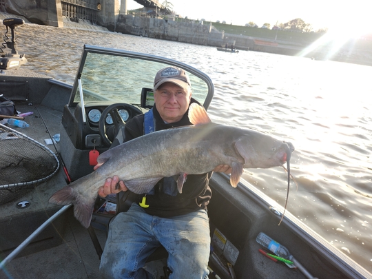 Channel Catfish