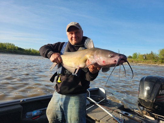 Channel Catfish