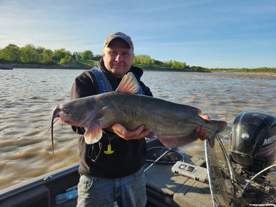 Channel Catfish