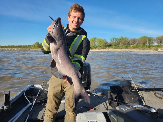 Channel Catfish