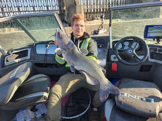 Channel Catfish
