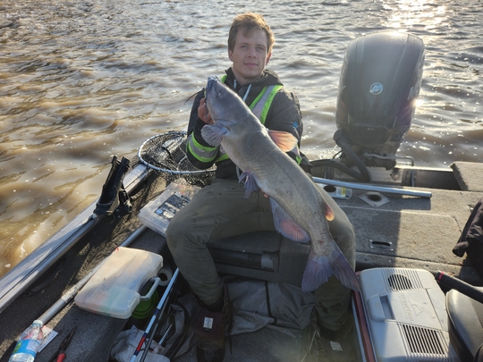 Channel Catfish