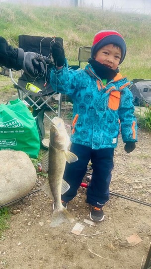 Walleye
