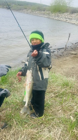 Walleye