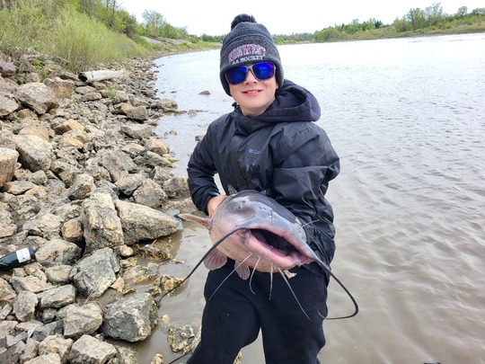 Channel Catfish