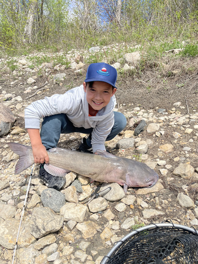 Channel Catfish