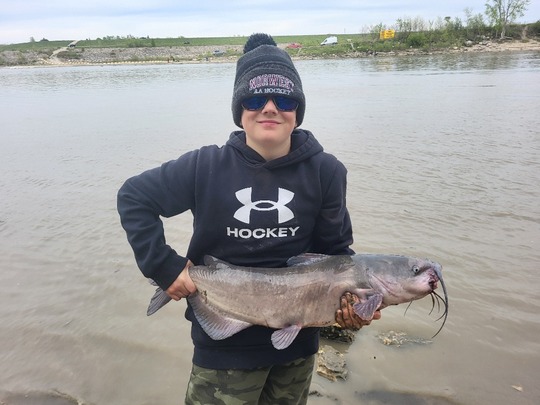 Channel Catfish