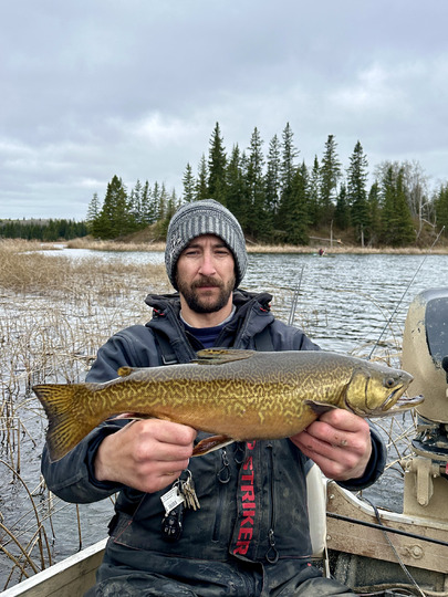Tiger Trout