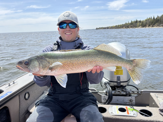Walleye