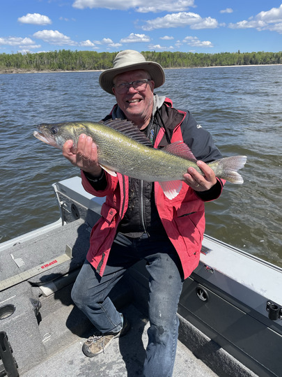 Walleye