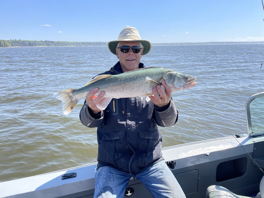 Walleye