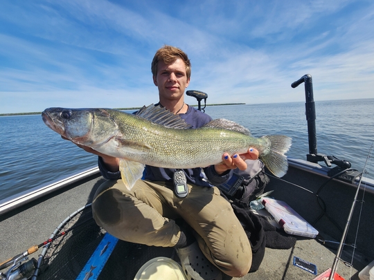 Walleye