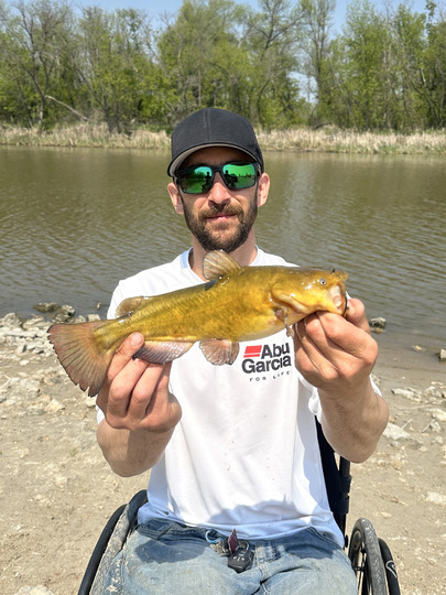 Bullhead