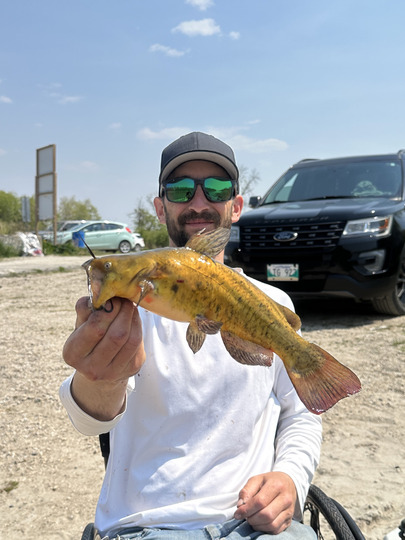 Bullhead