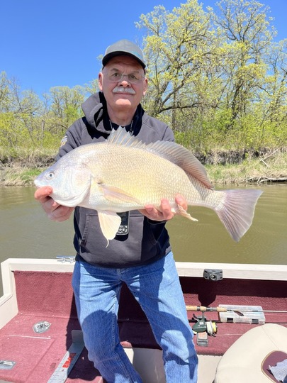 Freshwater Drum
