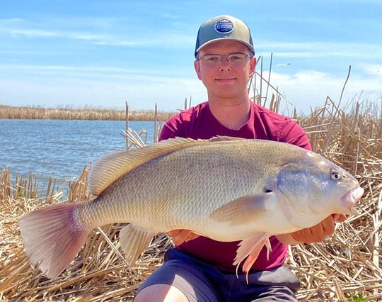 Freshwater Drum