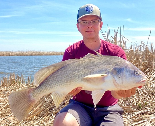 Freshwater Drum