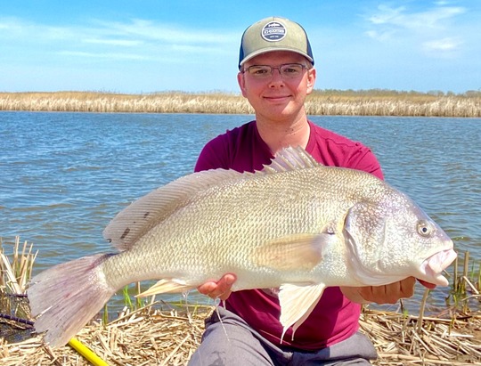 Freshwater Drum
