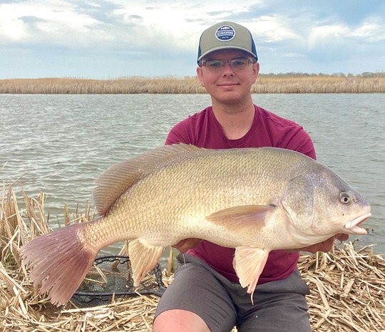 Freshwater Drum