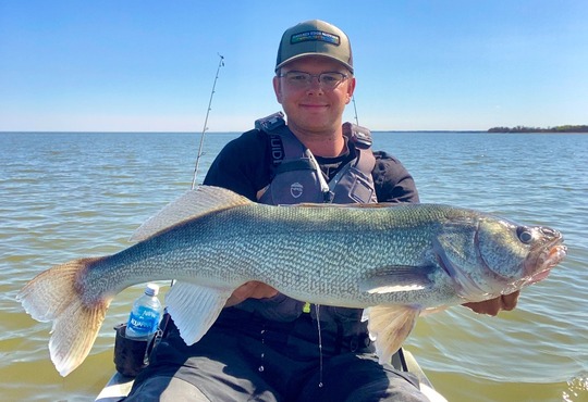 Walleye