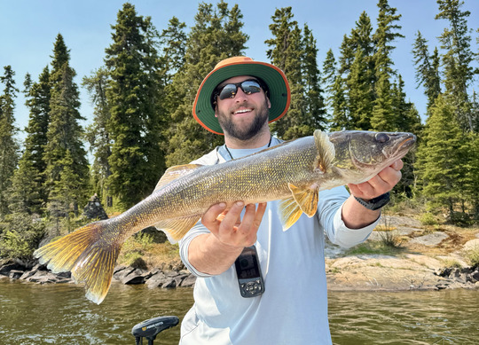 Walleye