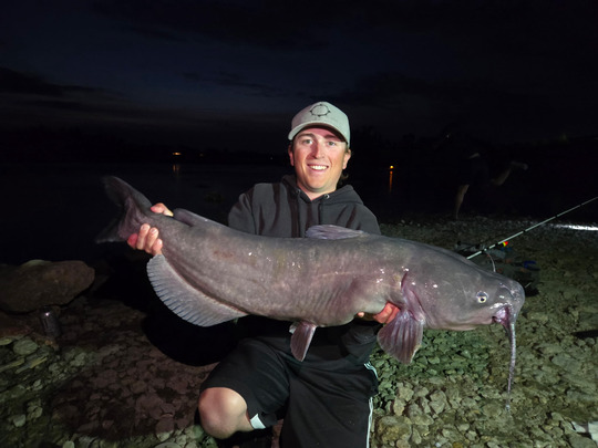 Channel Catfish