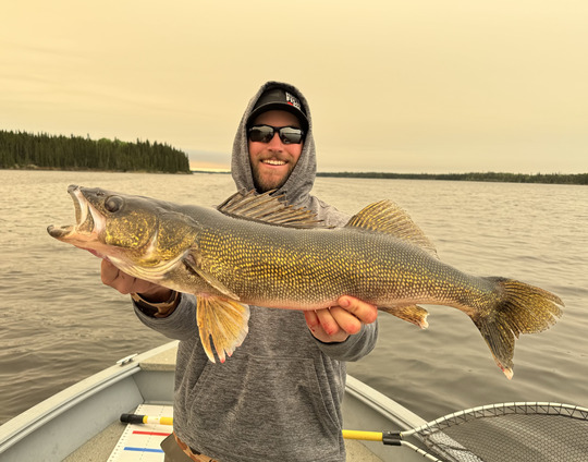 Walleye