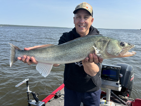 Walleye