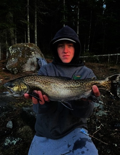 Channel Catfish
